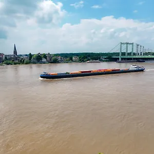 Wiesenhaus: Wohnen Im Tiny House Direkt Am Rhein Köln